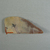  <em>Saw Blade</em>, ca. 1352-1332 B.C.E. Flint, 2 13/16 × 1 5/16 × 3/8 in. (7.2 × 3.3 × 0.9 cm). Brooklyn Museum, Gift of the Egypt Exploration Society, 25.886.14. Creative Commons-BY (Photo: , CUR.25.886.14_view01.jpg)
