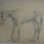 Philip H. Wolfrom (American, 1870-1904). <em>Horse</em>, n.d. Graphite on paper, Sheet: 10 1/8 x 12 1/4 in. (25.7 x 31.1 cm). Brooklyn Museum, Gift of Anna Wolfrom Dove, 27.819 (Photo: Brooklyn Museum, CUR.27.819.jpg)