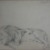 Philip H. Wolfrom (American, 1870-1904). <em>Sleeping Lion</em>, n.d. Graphite on paper, Sheet: 10 3/8 x 14 1/8 in. (26.4 x 35.9 cm). Brooklyn Museum, Gift of Anna Wolfrom Dove, 27.823 (Photo: Brooklyn Museum, CUR.27.823.jpg)