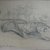 Philip H. Wolfrom (American, 1870-1904). <em>Tiger in Landscape</em>, n.d. Graphite on paper, Sheet: 8 1/8 x 12 in. (20.6 x 30.5 cm). Brooklyn Museum, Gift of Anna Wolfrom Dove, 27.834 (Photo: Brooklyn Museum, CUR.27.834.jpg)