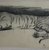 Philip H. Wolfrom (American, 1870-1904). <em>Sleeping Tiger</em>, n.d. Charcoal on paper, Sheet: 6 3/8 x 12 7/16 in. (16.2 x 31.6 cm). Brooklyn Museum, Gift of Anna Wolfrom Dove, 27.836 (Photo: Brooklyn Museum, CUR.27.836.jpg)