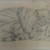 Philip H. Wolfrom (American, 1870-1904). <em>Sleeping Tiger</em>, n.d. Graphite on paper, Sheet: 3 9/16 x 8 in. (9 x 20.3 cm). Brooklyn Museum, Gift of Anna Wolfrom Dove, 27.856 (Photo: Brooklyn Museum, CUR.27.856.jpg)