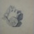 William Merritt Chase (American, 1849-1916). <em>[Untitled] (Study of Infant's Hand)</em>, n.d. Graphite on paper, Sheet: 5 x 4 3/16 in. (12.7 x 10.6 cm). Brooklyn Museum, Gift of Newhouse Galleries, Inc., 29.27.4 (Photo: Brooklyn Museum, CUR.29.27.4.jpg)
