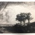 Rembrandt Harmensz. van Rijn (Dutch, 1606-1669). <em>The Three Trees</em>, 1643. Etching, drypoint, and engraving on laid paper, Plate: 8 7/16 x 11 in. (21.4 x 27.9 cm). Brooklyn Museum, Gift of Mr. and Mrs. William A. Putnam, 31.780 (Photo: , CUR.31.780.jpg)