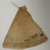 Blackfoot. <em>Toy Tipi with Pole</em>, early 20th century. Wood, fabric, pigment Brooklyn Museum, Bequest of W.S. Morton Mead, 32.2099.32553. Creative Commons-BY (Photo: Brooklyn Museum, CUR.32.2099.32553_view3.jpg)
