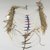 Blackfoot. <em>Man's Necklace</em>, 20th century. Bead, bone Brooklyn Museum, Bequest of W.S. Morton Mead, 32.2099.32580. Creative Commons-BY (Photo: Brooklyn Museum, CUR.32.2099.32580_view1.jpg)