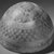  <em>Molded Hemispherical Bowl</em>, 2nd-1st century B.C.E. Faience, 3 9/16 x Diam. 5 7/8 in. (9 x 15 cm). Brooklyn Museum, Charles Edwin Wilbour Fund, 33.581. Creative Commons-BY (Photo: Brooklyn Museum, CUR.33.581_NegB_print_bw.jpg)