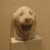  <em>Sculptor's Model Head of a Lion Roaring</em>, ca. 525-404 B.C.E. Limestone, 5 9/16 x 3 3/8 x 5 1/16 in. (14.1 x 8.5 x 12.8 cm). Brooklyn Museum, Charles Edwin Wilbour Fund, 34.1190. Creative Commons-BY (Photo: Brooklyn Museum, CUR.34.1190_wwg8.jpg)