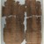  <em>The Wilbour Papyrus</em>, ca. 1147 B.C.E. Papyrus, ink, Glass: 15 3/4 x 18 1/8 in. (40 x 46 cm). Brooklyn Museum, Charles Edwin Wilbour Fund, 34.5596.9 (Photo: Brooklyn Museum, CUR.34.5596.9_back_IMLS_PS5.jpg)