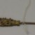  <em>Hair Pin</em>, early 20th century. Gilt, brass, 8 3/8 x 7/8 in. (21.3 x 2.2 cm). Brooklyn Museum, Brooklyn Museum Collection, 34.935. Creative Commons-BY (Photo: Brooklyn Museum, CUR.34.935_back.jpg)