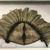  <em>Headdress</em>. Feathers Brooklyn Museum, Gift of Appleton Sturgis, 35.2204. Creative Commons-BY (Photo: , CUR.35.2204.jpg)