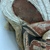 <em>Mask</em>. Wood, cloth, pigment, fibers, barkcloth, rattan, paste or plaster, tapestry turban snail (Turbo petholatus) opercula, 17 1/2 × 9 × 13 in. (44.5 × 22.9 × 33 cm). Brooklyn Museum, Gift of Appleton Sturgis, 35.2213. Creative Commons-BY (Photo: , CUR.35.2213_detail03.jpg)