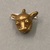  <em>Bell Pendant in Form of Animal Head</em>. Gold, 1 1/8 × 3/4 × 1 in. (2.9 × 1.9 × 2.5 cm). Brooklyn Museum, Alfred W. Jenkins Fund, 35.71. Creative Commons-BY (Photo: Brooklyn Museum, CUR.35.71_top.jpg)