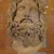 Roman. <em>Head of Serapis</em>, 75-150 C.E. Marble, 10 3/8 x 7 3/8 x 6 7/8 in. (26.4 x 18.7 x 17.5 cm). Brooklyn Museum, Charles Edwin Wilbour Fund, 37.1522E. Creative Commons-BY (Photo: Brooklyn Museum, CUR.37.1522E_afrinnov.jpg)