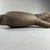  <em>Large Hawk</em>, 305-30 B.C.E. Bronze, 8 7/16 x 7 11/16 in. (21.5 x 19.5 cm). Brooklyn Museum, Charles Edwin Wilbour Fund, 37.367E. Creative Commons-BY (Photo: Brooklyn Museum, CUR.37.367E_view07.jpg)