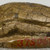  <em>Scarab Seal of Khaseshesre-Neferhotep</em>, ca. 1630-1539 B.C.E. Steatite, glaze, 3/8 × 11/16 × 15/16 in. (0.9 × 1.7 × 2.4 cm). Brooklyn Museum, Charles Edwin Wilbour Fund, 37.505E. Creative Commons-BY (Photo: , CUR.37.505E_view05_Ilin_Tomich.jpg)