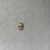  <em>Small Bead</em>, ca. 1539-1075 B.C.E. Gold, 1/8 × 1/4 in. (0.3 × 0.6 cm). Brooklyn Museum, Charles Edwin Wilbour Fund, 37.712E. Creative Commons-BY (Photo: Brooklyn Museum, CUR.37.712E_back.JPG)
