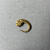  <em>Small Loop Earring with Lion's Head</em>, late 4th-3rd century B.C.E. Gold, Diameter: 11/16 in. (1.7 cm). Brooklyn Museum, Charles Edwin Wilbour Fund, 37.777E. Creative Commons-BY (Photo: Brooklyn Museum, CUR.37.777E_overall01.JPG)