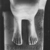  <em>Statue of Queen Ankhnes-meryre II and Her Son, Pepy II</em>, ca. 2288–2224 or 2194 B.C.E. Egyptian alabaster (calcite), pigment, 15 7/16 x 9 13/16 in. (39.2 x 24.9 cm). Brooklyn Museum, Charles Edwin Wilbour Fund, 39.119. Creative Commons-BY (Photo: Brooklyn Museum, CUR.39.119_negK_print_bw.jpg)