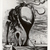 Kurt Seligmann (Swiss, 1900-1962). <em>Composition No. 19</em>, 1933. Etching on wove paper, Sheet: 12 3/4 x 9 7/8 in. (32.4 x 25.1 cm). Brooklyn Museum, Brooklyn Museum Collection, 39.662.19. © artist or artist's estate (Photo: Brooklyn Museum, CUR.39.662.19.jpg)