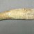 Marquesan. <em>Whale Teeth</em>, before 1938. Bone, Between 4-12 cm. Brooklyn Museum, A. Augustus Healy Fund, 42.211.50. Creative Commons-BY (Photo: Brooklyn Museum, CUR.42.211.50_component14.jpg)