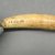 Marquesan. <em>Whale Teeth</em>, before 1938. Bone, Between 4-12 cm. Brooklyn Museum, A. Augustus Healy Fund, 42.211.50. Creative Commons-BY (Photo: Brooklyn Museum, CUR.42.211.50_component16.jpg)