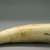 Marquesan. <em>Whale Teeth</em>, before 1938. Bone, Between 4-12 cm. Brooklyn Museum, A. Augustus Healy Fund, 42.211.50. Creative Commons-BY (Photo: Brooklyn Museum, CUR.42.211.50_component17.jpg)