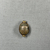  <em>Scarab of Tjuia in Setting</em>. Steatite, glaze, gold, 1/4 x 1/2 x 9/16 in. (0.7 x 1.2 x 1.5 cm). Brooklyn Museum, Charles Edwin Wilbour Fund, 44.123.101. Creative Commons-BY (Photo: Brooklyn Museum, CUR.44.123.101_overall.JPG)