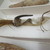 Tuamotuan. <em>Fishhook</em>. Shell, fiber, 2 9/16 × 5 7/8 in. (6.5 × 15 cm). Brooklyn Museum, Gift of Mrs. James C. Pryor, 48.31.27. Creative Commons-BY (Photo: , CUR.48.31.27_view02.jpg)