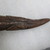 Rapanui. <em>Lizard Figure (Moko Miro)</em>, 19th century. Wood, shell or bone, 16 x 2 x 1 3/4 in. (40.6 x 5.1 x 4.4 cm). Brooklyn Museum, Museum Collection Fund, 50.78. Creative Commons-BY (Photo: , CUR.50.78_detail04.jpg)