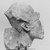  <em>Head of Akhenaten</em>. Limestone, pigment, 8 3/8 x 7 3/16 in. (21.3 x 18.3 cm). Brooklyn Museum, Gift of Maguid Sameda, 59.4. Creative Commons-BY (Photo: Brooklyn Museum, CUR.59.4_NegID_L96_39_print_bw.jpg)