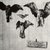 Félix Bracquemond (Paris, France, 1833–1914, Sèvres, France). <em>LeHaut D'un Battant de Porte (Four Birds)</em>, 1852. Etching on laid paper, 12 x 15 7/8 in. (30.5 x 40.3 cm). Brooklyn Museum, Gift of Mrs. Howard M. Morse, 59.53.1 (Photo: Brooklyn Museum, CUR.59.53.1.jpg)