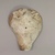 Mississippian. <em>Mask</em>, 800-1500 C.E. Conch shell, 5 7/8 x 4 3/4 in.  (15.0 x 12.0 cm). Brooklyn Museum, By exchange, 60.53.2. Creative Commons-BY (Photo: , CUR.60.53.2_front.jpg)