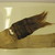Chimú. <em>Loincloth, Tie, Fragment</em>, 1000-1700. Cotton, camelid fiber, opened: 27 15/16 x 7 1/16 in. (71.0 x 18.0 cm). Brooklyn Museum, Gift of Adelaide Goan, 64.114.191 (Photo: Brooklyn Museum, CUR.64.114.191-1.jpg)