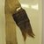 Chimú. <em>Loincloth, Tie, Fragment</em>, 1000-1700. Cotton, camelid fiber, opened: 27 15/16 x 7 1/16 in. (71.0 x 18.0 cm). Brooklyn Museum, Gift of Adelaide Goan, 64.114.191 (Photo: Brooklyn Museum, CUR.64.114.191.jpg)