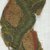 Coptic. <em>Band Fragment with Botanical Decoration</em>, 5th-7th century C.E. Flax, wool, 3 x 14 1/2 in. (7.6 x 36.8 cm). Brooklyn Museum, Gift of Adelaide Goan, 64.114.260 (Photo: Brooklyn Museum (in collaboration with Index of Christian Art, Princeton University), CUR.64.114.260_detail01_ICA.jpg)