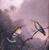 Martin Johnson Heade (American, 1819-1904). <em>Two Humming Birds: "Copper-tailed Amazili,"</em> ca.1865-1875. Oil on canvas, 11 9/16 x 8 7/16 in. (29.3 x 21.5 cm). Brooklyn Museum, Dick S. Ramsay Fund, 64.208 (Photo: Brooklyn Museum, CUR.64.208.jpg)