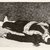 Édouard Manet (French, 1832-1883). <em>The Dead Toreador (Torero mort)</em>, 1868. Etching and aquatint on laid Van Gelder Zonen paper, 5 15/16 x 8 11/16 in. (15.1 x 22 cm). Brooklyn Museum, Gift of Mrs. Edwin De T. Bechtel, 68.192.33 (Photo: Brooklyn Museum, CUR.68.192.33.jpg)