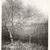 Albert Windslow Barker (American, 1874-1947). <em>Earliest Spring</em>, 1928. Lithograph on cream-colored wove paper, Image: 10 5/8 x 7 3/8 in. (27 x 18.8 cm). Brooklyn Museum, Frank L. Babbott Fund, 81.98.1. © artist or artist's estate (Photo: Brooklyn Museum, CUR.81.98.1.jpg)