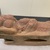  <em>Section of a Pillar</em>, 1st century C.E. Red sandstone, 17 x 6 x 6 in. (43.2 x 15.2 x 15.2 cm). Brooklyn Museum, Gift of Mr. and Mrs. Louis Stoler, 85.284. Creative Commons-BY (Photo: Brooklyn Museum, CUR.85.284_side02.jpg)
