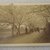  <em>View of Japan</em>, late 19th-early 20th century. Albumen silver photograph mounted on cardboard, with mounting: 4 5/16 x 6 7/16 in. (10.9 x 16.3 cm). Brooklyn Museum, Gift of Matthew Dontzin, 86.256.43 (Photo: Brooklyn Museum, CUR.86.256.43.jpg)