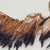 Apache. <em>Ornamental Feathers</em>. Feathers Brooklyn Museum, Brooklyn Museum Collection, X1126.45. Creative Commons-BY (Photo: Brooklyn Museum, CUR.X1126.45_view2.jpg)