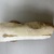 Roman (probably). <em>Fragment of Left Leg</em>. Marble, 3 9/16 × 3 15/16 × 11 in. (9 × 10 × 28 cm). Brooklyn Museum, Brooklyn Museum Collection, X605.1. Creative Commons-BY (Photo: Brooklyn Museum, CUR.X605.1_view07.jpg)