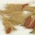 Coptic. <em>Fragment with Botanical Decoration</em>, 4th-7th century C.E. Flax, wool, 2 1/4 x 4 3/4 in. (5.7 x 12.1 cm). Brooklyn Museum, Brooklyn Museum Collection, X937. Creative Commons-BY (Photo: Brooklyn Museum (in collaboration with Index of Christian Art, Princeton University), CUR.X937_ICA.jpg)