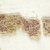 Coptic. <em>Tunic Fragments with Botanical Decoration</em>, 5th-7th century C.E. Wool, flax (?), x945a: 11 × 27 3/4 in. (28 × 70.5 cm). Brooklyn Museum, Brooklyn Museum Collection, X945a-b. Creative Commons-BY (Photo: Brooklyn Museum (in collaboration with Index of Christian Art, Princeton University), CUR.X945_detail08_ICA.jpg)