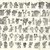 Nazca. <em>Mantle ("The Paracas Textile")</em>, 100-300 C.E. Cotton, camelid fiber, 24 5/8 × 58 11/16 in. (62.5 × 149 cm). Brooklyn Museum, John Thomas Underwood Memorial Fund, 38.121 (Photo: , NK8839.1_B79_brochure_front_spanish_38.121_IMLS.jpg)
