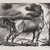 Leo Katz (American, 1887-1992). <em>Horse</em>, 1932. Lithograph, 12 1/4 x 17 1/4 in. (31.2 x 43.8 cm). Brooklyn Museum, Brooklyn Museum Collection, X1042.17. © artist or artist's estate (Photo: Brooklyn Museum, X1042.17_PS4.jpg)