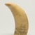 Unknown. <em>Scrimshaw, Whale's Tooth</em>, ca. 1830-1870. Whale's tooth, 5 5/8 x 2 1/8 in. (14.3 x 5.4 cm). Brooklyn Museum, Brooklyn Museum Collection, X613.2. Creative Commons-BY (Photo: Brooklyn Museum, X613.2_view02_PS11.jpg)