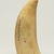  <em>Scrimshaw Work, Sperm Whale's Tooth</em>, ca 1840-1870., 6 3/4 x 2 15/16 in.  (17.2 x 7.5 cm). Brooklyn Museum, Brooklyn Museum Collection, X613.4. Creative Commons-BY (Photo: Brooklyn Museum, X613.4_view04_PS11.jpg)