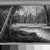 American. <em>Forest Landscape</em>, ca. late 19th or early 20th century. Oil on canvas, canvas:  7 x 14 in.  (17.8 x 35.6 cm);. Brooklyn Museum, Brooklyn Museum Collection, X530 (Photo: Brooklyn Museum, x530_framed_bw.jpg)